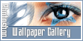 wpgallery
